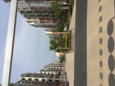 小区图