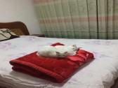 小区图