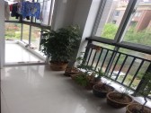 小区图