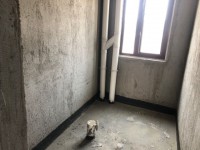其它图