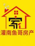 鱼哥 看风水